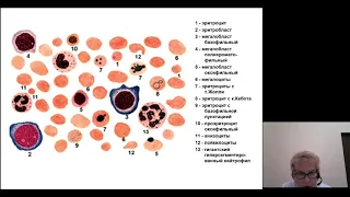 Патофизиология 1. Патофизиология системы эритроцитов