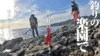 回遊魚が延々釣れ続ける堤防にイカの大群。日本海に浮かぶ釣りの楽園は、噂通りのポテンシャルでした。【二泊三日佐渡島全力釣行】