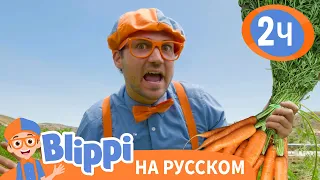 Блиппи стал Фермером🧑‍🌾 | Обучающие видео для детей | Blippi Russian