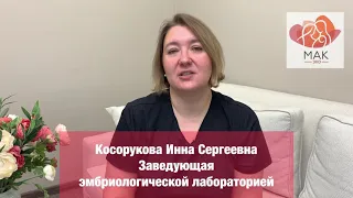 Причины остановки развития эмбрионов