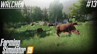 FS 19 The old Stream Farm-Walchen 2K20 Timelapse - New Farm, cutting grass #13