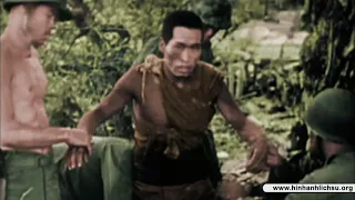 World War II In Color - Tập 11: The Island War - Vietsub