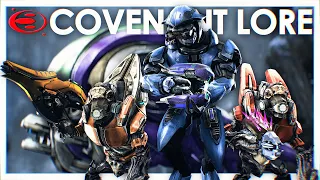 The Covenant's ENTIRE ARSENAL at the Battle of Alpha Halo (Halo: CE Lore MEGAVIDEO)