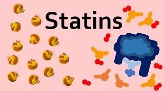 Statins and Cholesterol