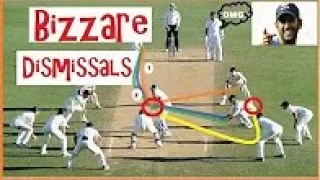 Bizarre Dismissals in Cricket History - Unusual way to get out OMG !!