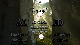 AL-WADUD | 99 Names of Allah | Part 47 #shortvideo #99namesofallah #quotes #trending #viral #urdu