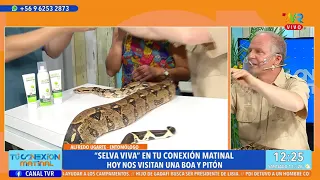 "Selva viva" en TCNX, hoy nos visitan una Boa y Pitón junto a Alfredo Ugarte