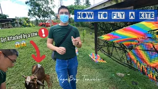 Kite Flying 101 - How to fly a Kite? Tips For Beginners!