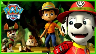 1 Hour of Marshall Rescues! 🔥 | PAW Patrol | Cartoons for Kids Compilation