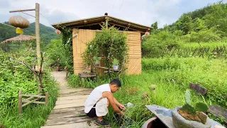 远离都市浮华，独居深山快意人生，吃着自种的豇豆辣子炒嘎嘎也辛福。【食外高人】