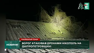 😱ГАТЯТЬ ПО ЦИВІЛЬНИХ: ворог атакував дронами Нікополь на Дніпропетровщині