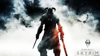 The Elder Scrolls V: Skyrim  Посетить музей в Данстар #28