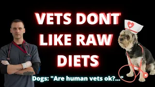 WHY VETS DONT LIKE RAW DIETS - RAW FOOD DIET FOR DOGS