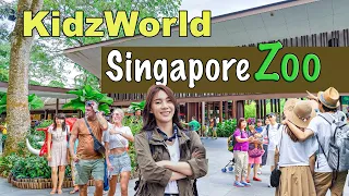 Singapore Zoo Tour | Newly Opened KidzWorld at Singapore Zoo Tour 🇸🇬🐼🦁