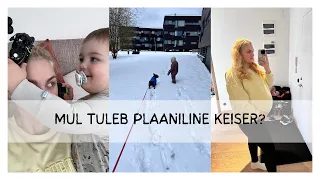 ELU VÄIKSE LAPSEGA POLE NÕRKADELE | vlog