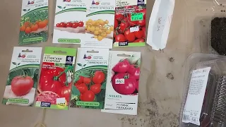 Посев томатов на рассаду