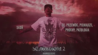 [22/26] Słoń - Przemoc, pieniądze, prochy, patologia | Madness Blend | D2