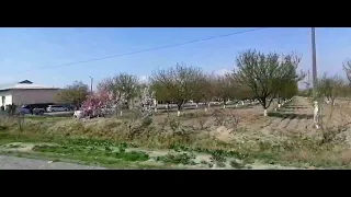 Кучкак Авария Узбекистон  фукороси  койдани бузганлиги туфайли авария содир булди#кучкак