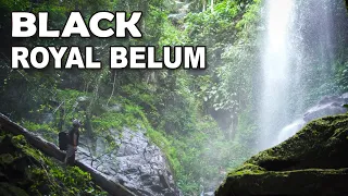 Royal Belum State Park