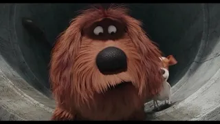 The Secret Life of Pets - Get'em! (Clip)