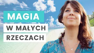 Jak otworzyć się na magię codzienności dzięki intuicji? 🌴 Podcast Wyspa Intuicji