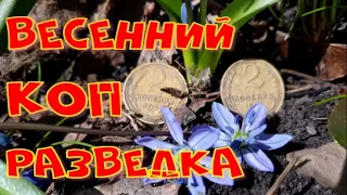 ВЕСЕННИЙ КОП-РАЗВЕДКА НОВЫХ МЕСТ! МЕТАЛЛОЛОМ, ПЕРВАЯ ИМПЕРИЯ И СЕРЕБРО СЕЗОНА! АКА СИГНУМ - МОЛОДЕЦ!