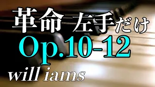 【ゆっくり動画 左手練習】革命 "左手だけ" Op.10-12 /ショパン Chopin Etude