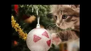 Johnny Mathis - It's Beginning To Look Like Christmas HD