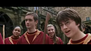 Harry Potter and the Chamber of Secrets - Malfoy calls Hermione a Mudblood as Gaeilge