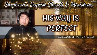 HIS WAY IS PERFECT(cover song)