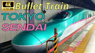 Bullet Train / Shinkansen from Tokyo - 24 hours in Sendai