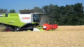 Claas Lexion 770,2011