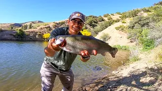 Last Trout Stocking of the Season??!! | Pyramid Lake