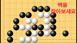 바둑 묘수 사활 - 세상에 이런 수가? 백을 잡아보세요