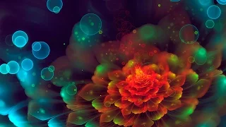 639Hz | Heart Chakra Solfeggio Frequency | Sleep Meditation Music | 9 Hours