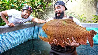 Catching Giant Piranhas With My Bare Hands In Florida!