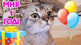 ДЕНЬ РОЖДЕНИЯ КОТЁНКА ЧЕРНОРЫЖА 1 ГОД! CAT'S BIRTHDAY