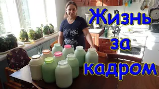 Жизнь за кадром. Обычные будни. (часть 356) VLOG (08.22г.) Семья Бровченко.