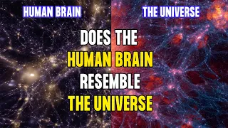 Similarities between the human brain and the universe interesting facts