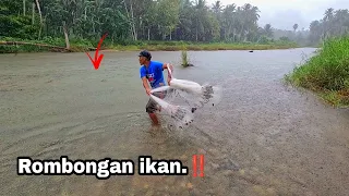 SHOCKED,,, Flocks of fish are drowned, FISH NET DURING HEAVY RAIN.‼️ Amazing fishing nets