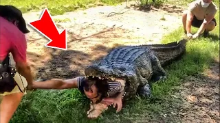 When Animals Attack Fail Caught On Camera #69