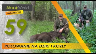 Polowanie na dziki i rogacze / Bockjagd in Polen - Schlesien zur Blattzeit