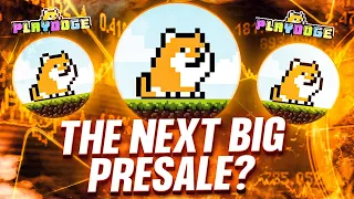 NEW HYPED PRESALE I BOUGHT!🚨 (PlayDoge Presale Review)