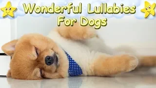 Super Soothing Relaxing Sleep Music For Pomeranian Puppies ♫ Calm Relax Your Dog ♥ Lullaby For Pets