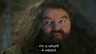 "You're a Wizard, Harry" Normal Movie Clip
