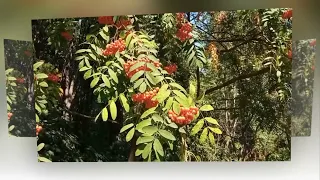 С дочкой гуляли по набережной... Залезли на Воробьевы Горы. Отскринила как канатная дорога работает