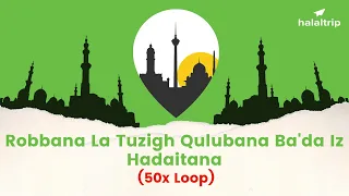 Robbana La Tuzigh Qulubana Ba'da Iz Hadaitana | 50x Loop