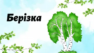 Берізка 🌳 Розповідь про незвичайне деревце