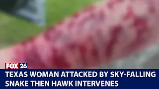 Snake fell from sky onto Texas woman, she's then attacked by hawk