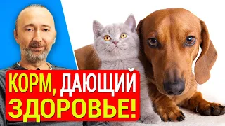 Лучший КОРМ для кошек и собак!